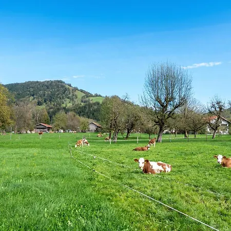 Διαμέρισμα Brauneck Gaissach