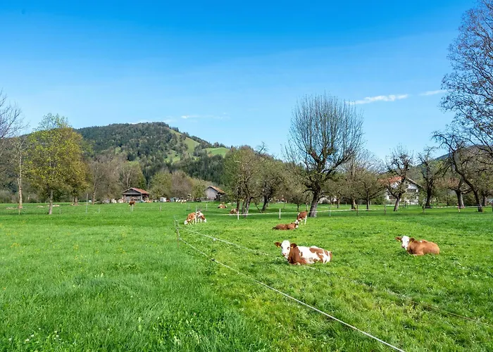 Brauneck Apartman